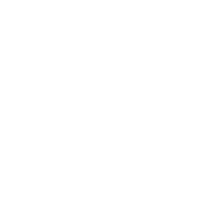 Home Service Solutions White Logo